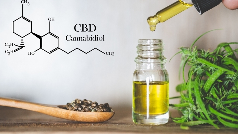 Medicina Canabinoide da USP